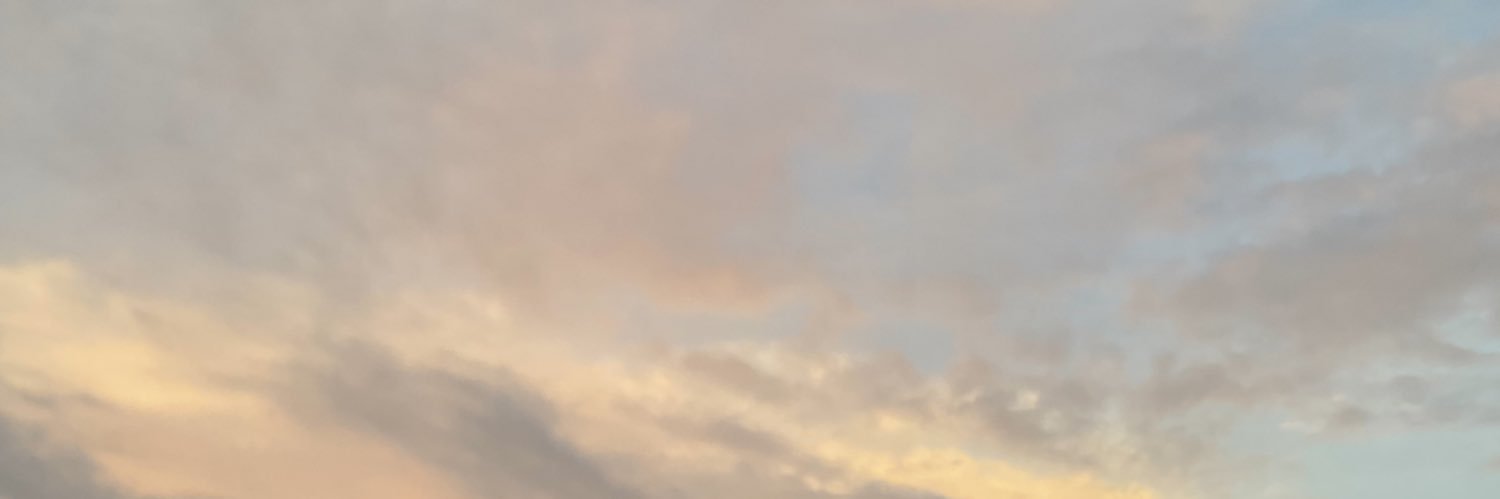 eniarunn's profile banner image