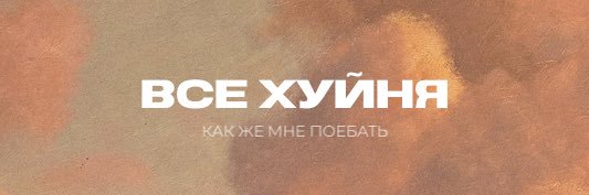 v_peiver's profile banner image