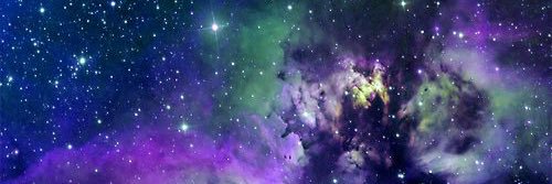 TracyWillott's profile banner image