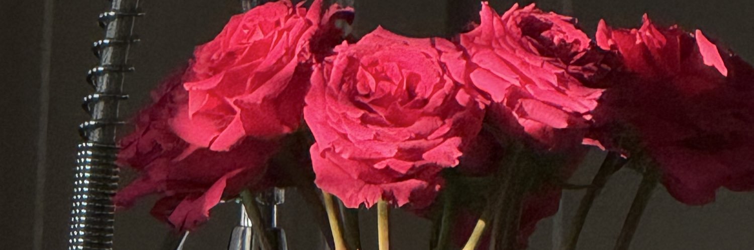 jjanelfernandez's profile banner image