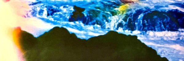 goncalee banner