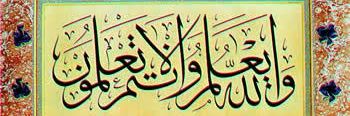 fiqh_minute's profile banner image