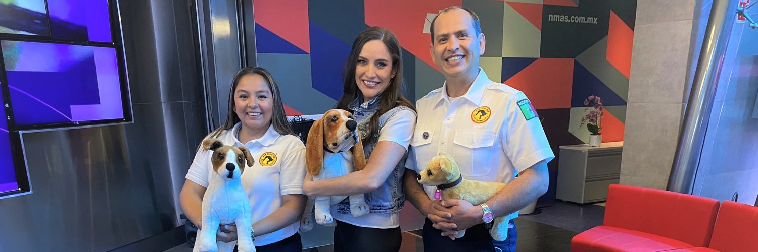 Pet First Aid CECAD Emergencias banner