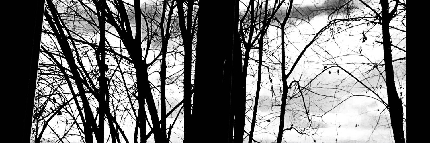 KBoede's profile banner image