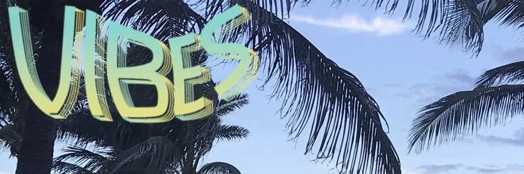 Bodhiwaves1's profile banner image