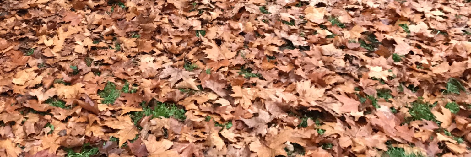 jcsolanolucas's profile banner image