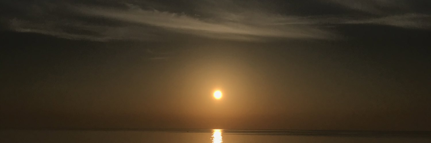 JaneSegovia_'s profile banner image