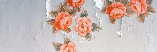 polecajka's profile banner image
