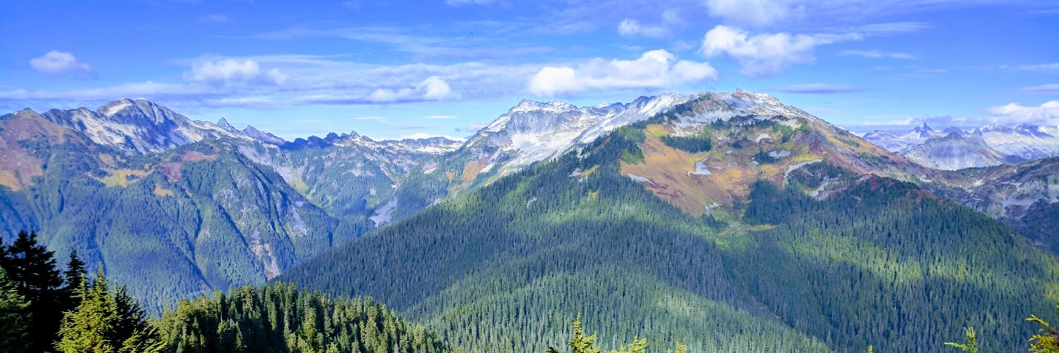 Lee Callender banner