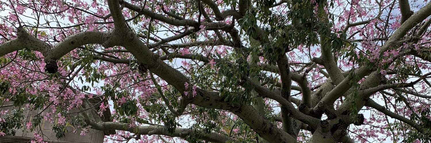 3ava_cherry's profile banner image