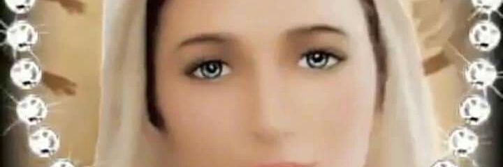 LEONOR90159264's profile banner image