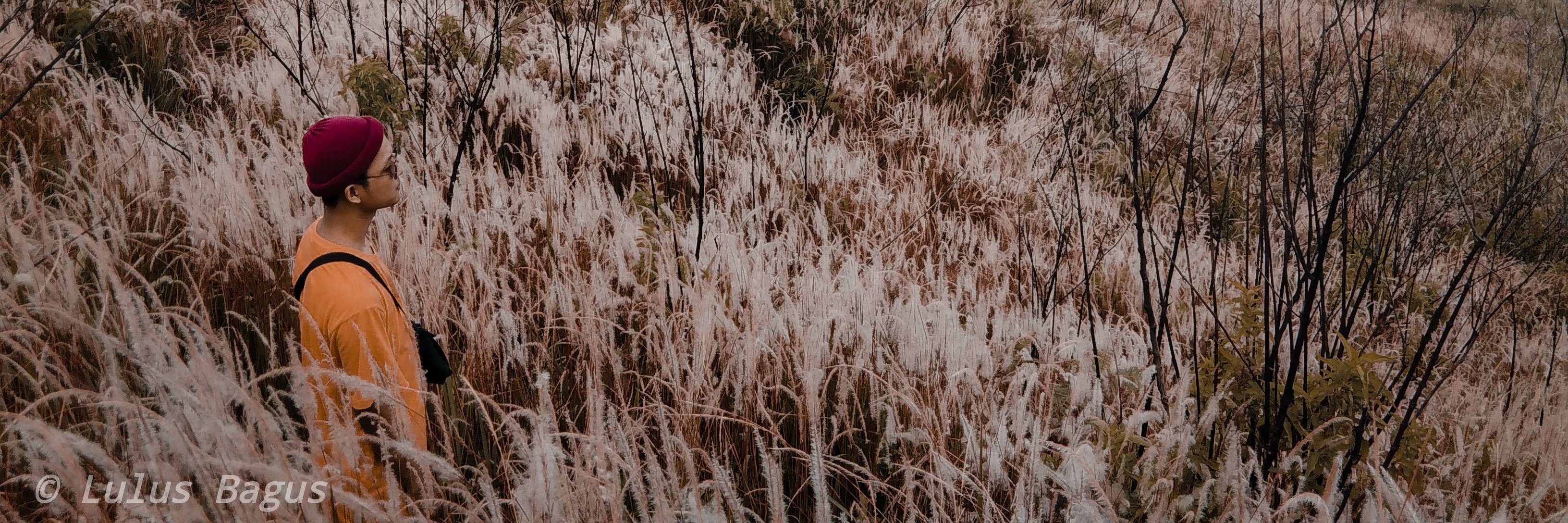 hobyrebahan's profile banner image