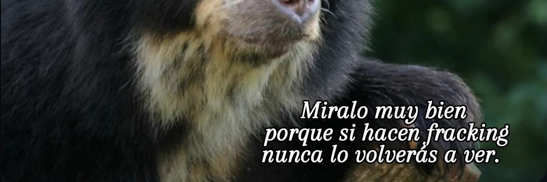 _MileGalvis's profile banner image