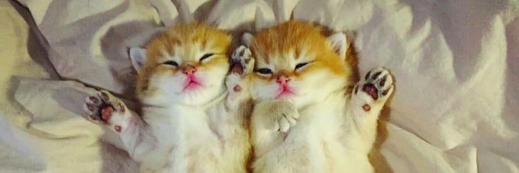 cikbunga123's profile banner image