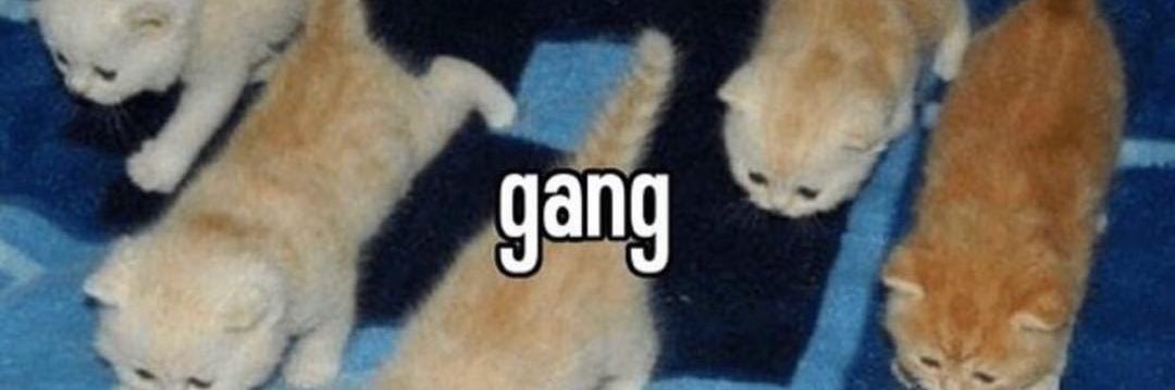 Varny4Ever's profile banner image