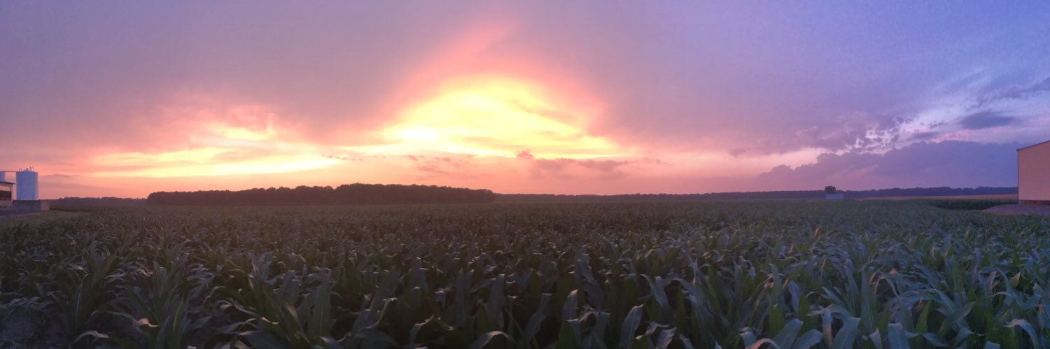 James Hasheider banner