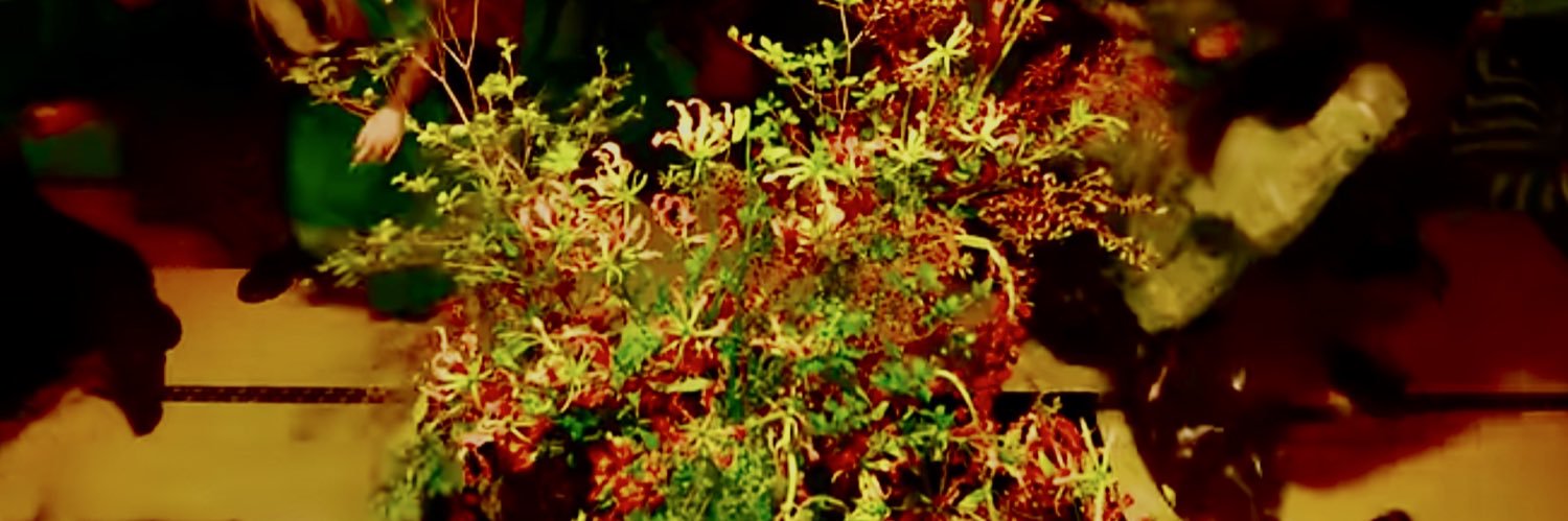 nyamit2's profile banner image