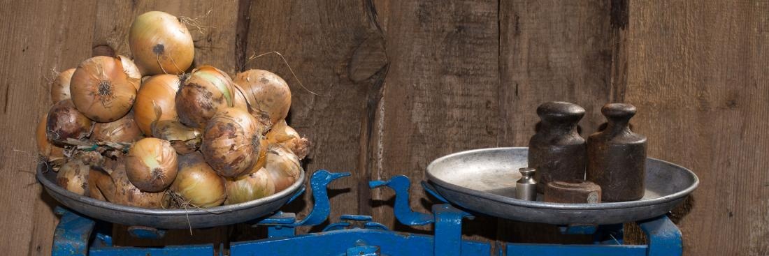 onionweigher 🧅⚖️'s banner