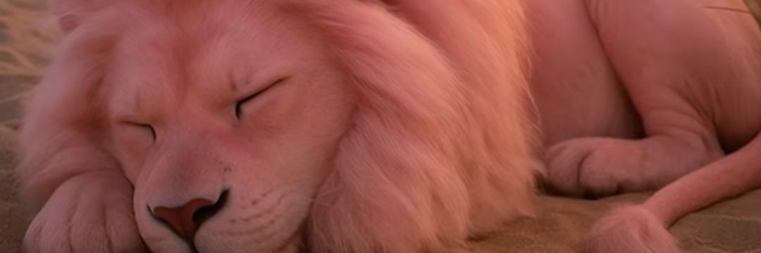 pepecol69's profile banner image