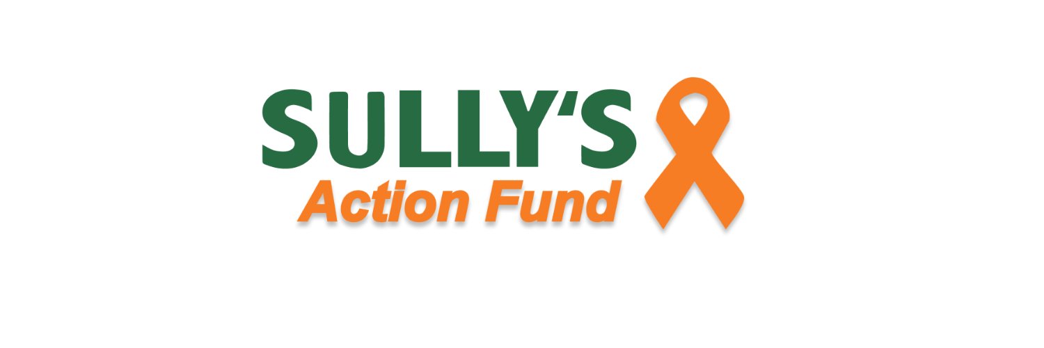 SullyFund's profile banner image