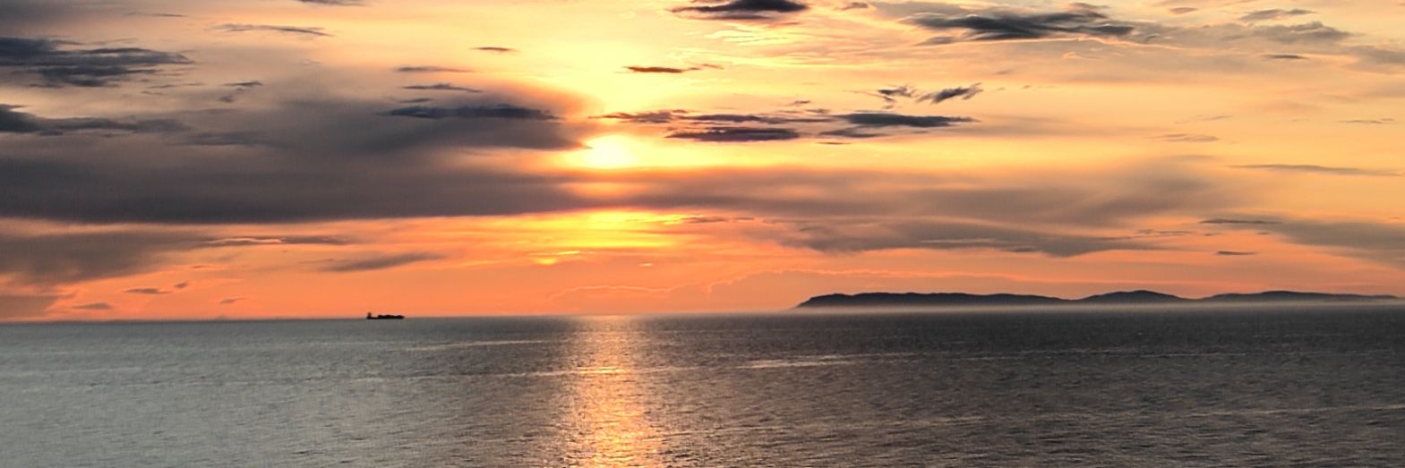 stvshrl's profile banner image