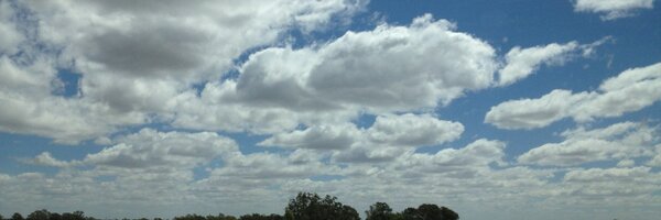 vyward Profile Banner