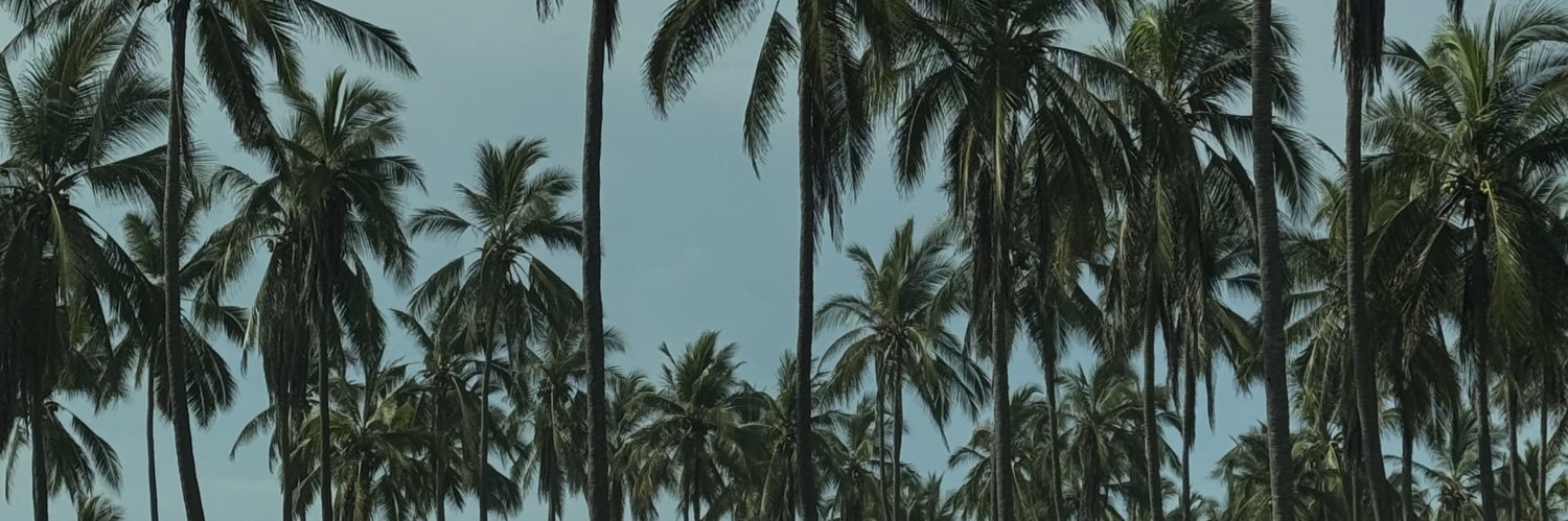 anapaucov's profile banner image