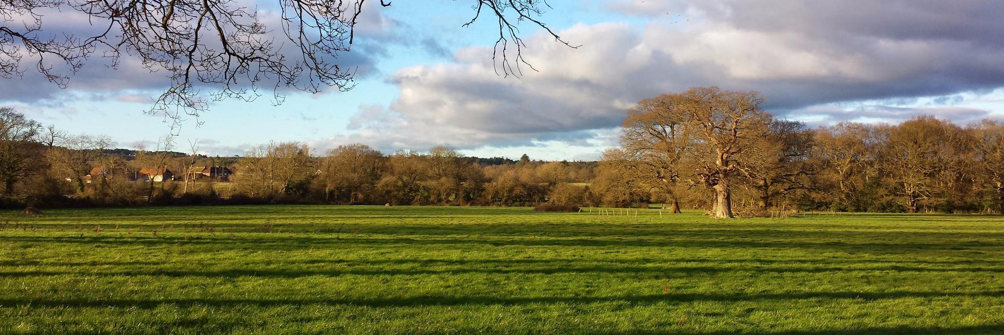 MyNormandyVillage 🍃 💚 🍃 banner