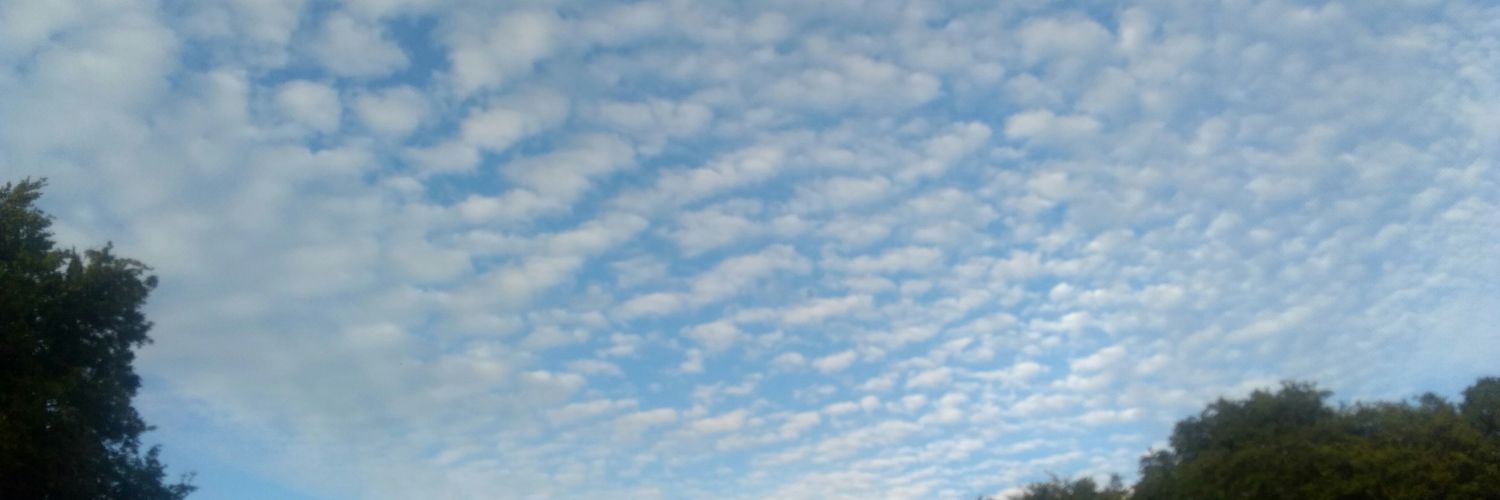 why did i bother banner