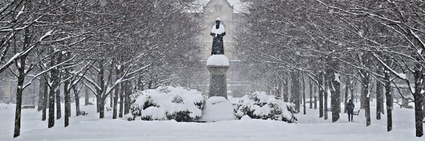 Tomblvd Profile Banner