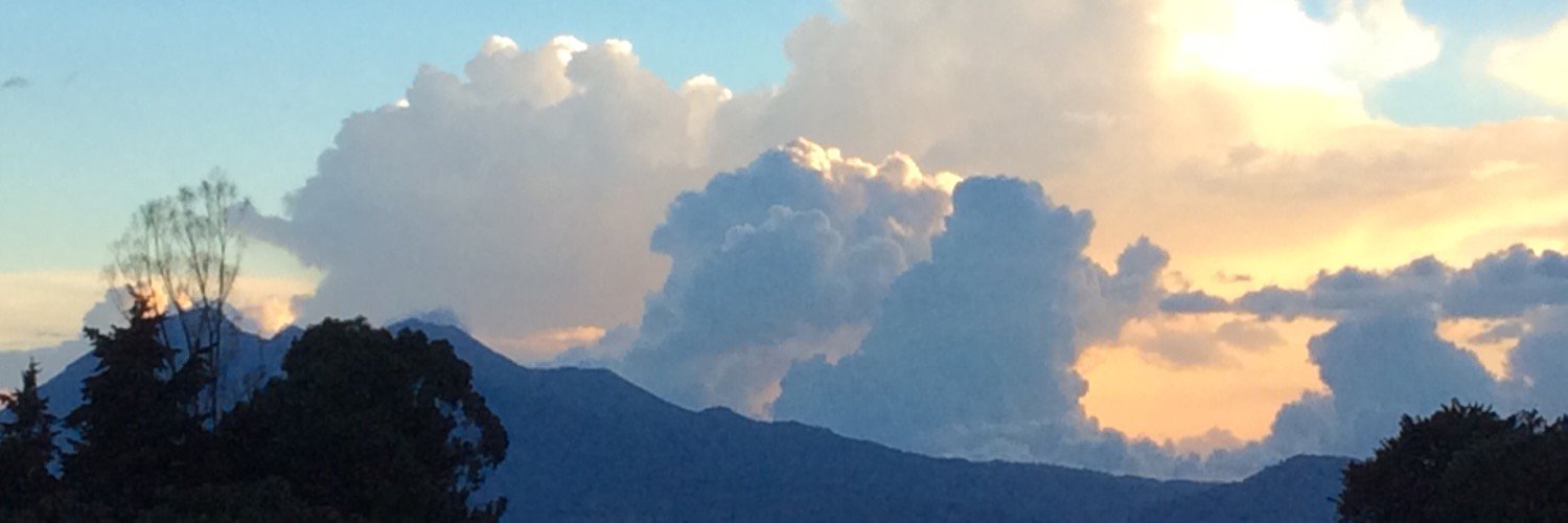 Deborah Chatsis banner