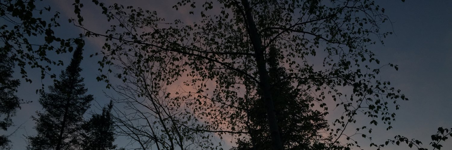 cangelaa_'s profile banner image