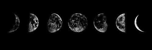 noon_raad's profile banner image