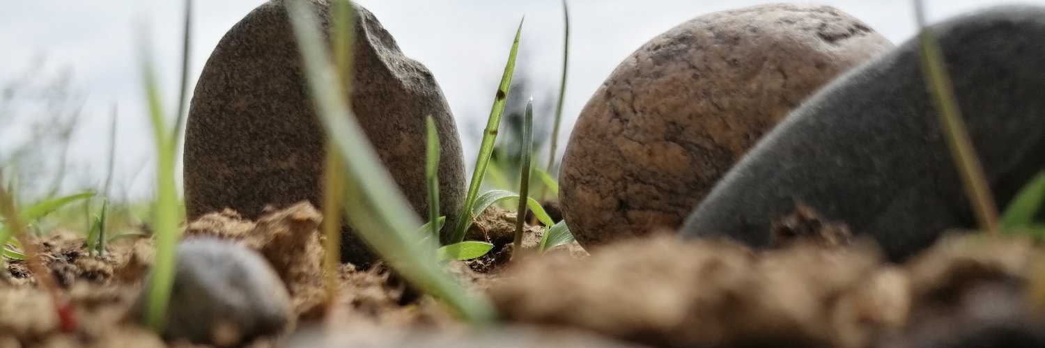 John1btc's profile banner image
