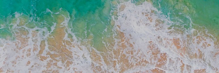jaclynnoell's profile banner image