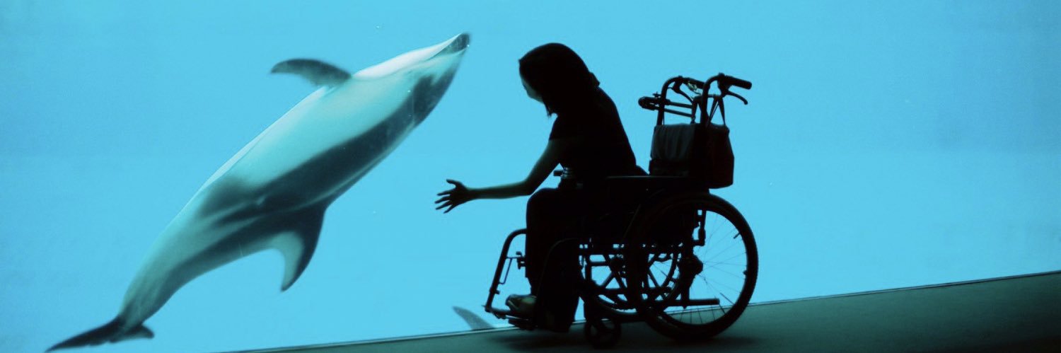 のの/バリアフリーインフルエンサー♿︎ banner