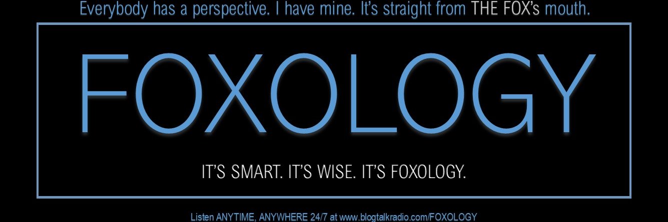 SilverRaeFox's profile banner image