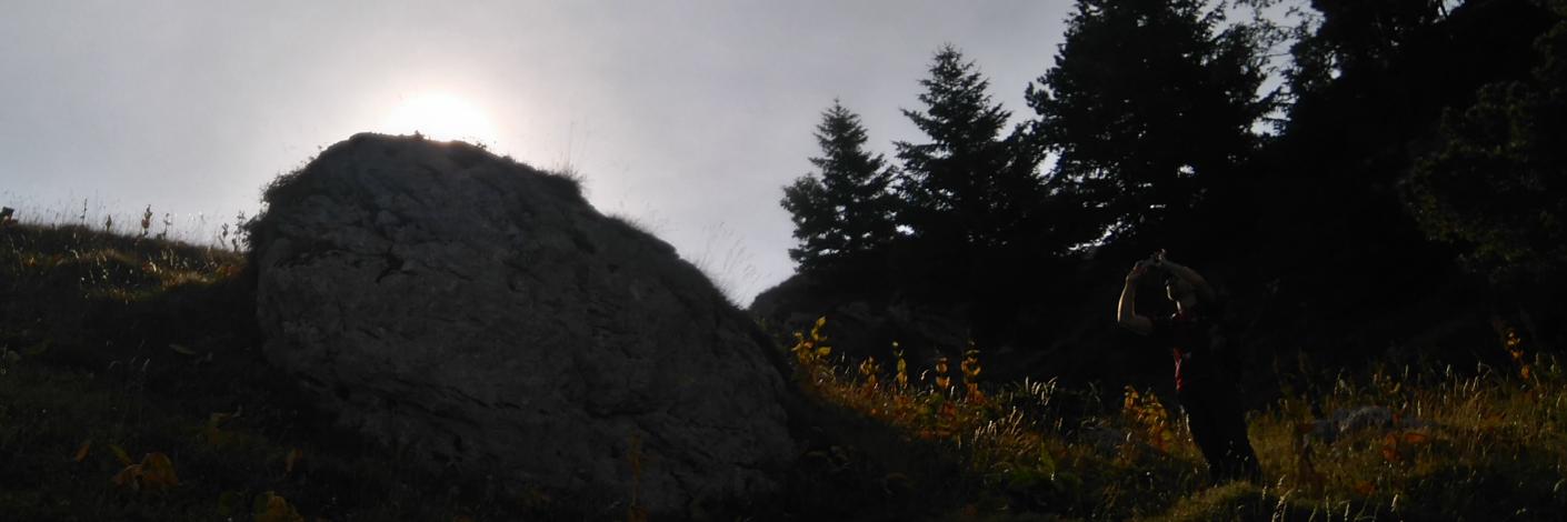 FranckVillaume, nerville banner