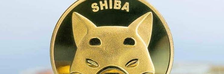 El-Nego Ben (SOL) banner