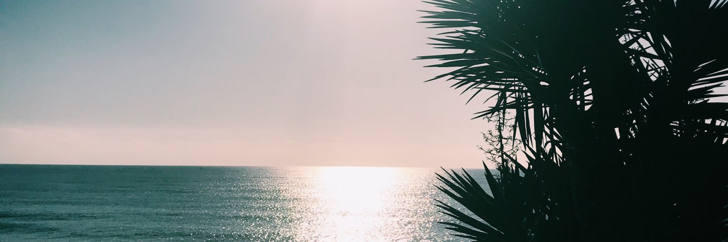 mmurgaf's profile banner image