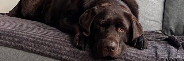 pcgarschagen Profile Banner