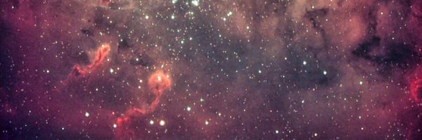 AnthonyPMorris Profile Banner