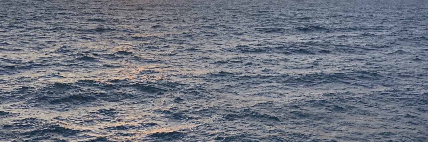 AnaMonchez13's profile banner image