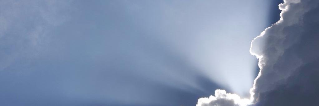 Delfinity banner