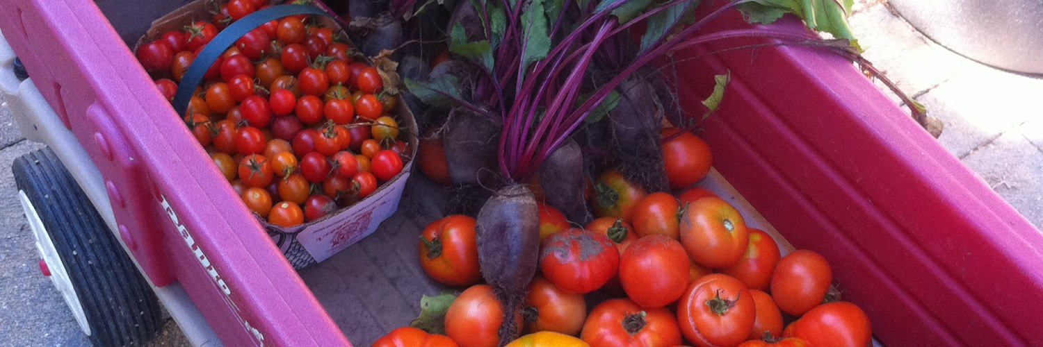 NutritionCluze's profile banner image