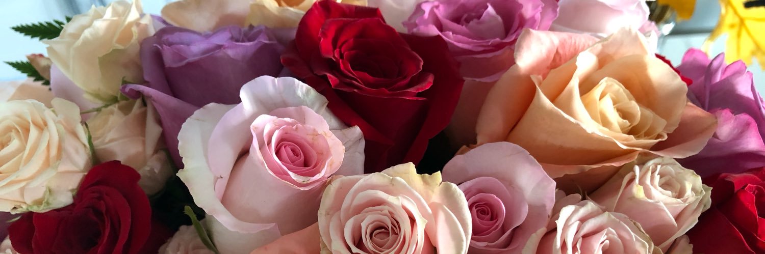 Angelangiela's profile banner image