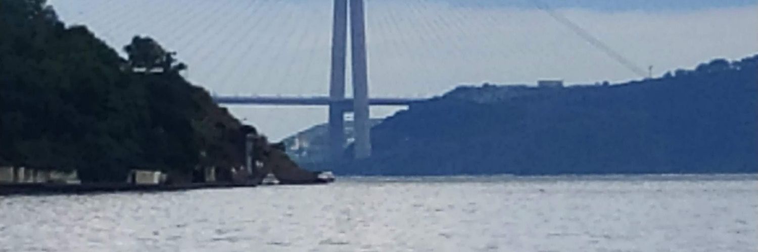 Alpaslanfatma44's profile banner image