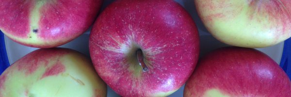 dibbsondining Profile Banner