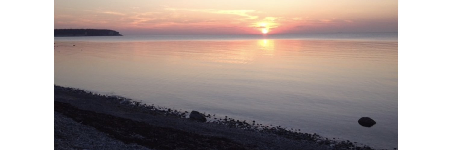 mvwesterlund's profile banner image