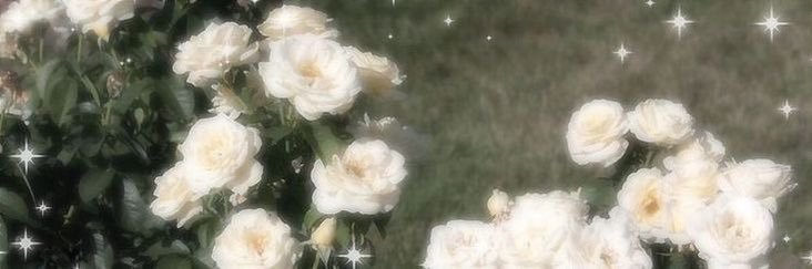 fram໒꒰ྀི´ ˘ ` ꒱ྀིა banner